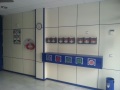Cieza 5