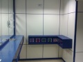 Murcia 11